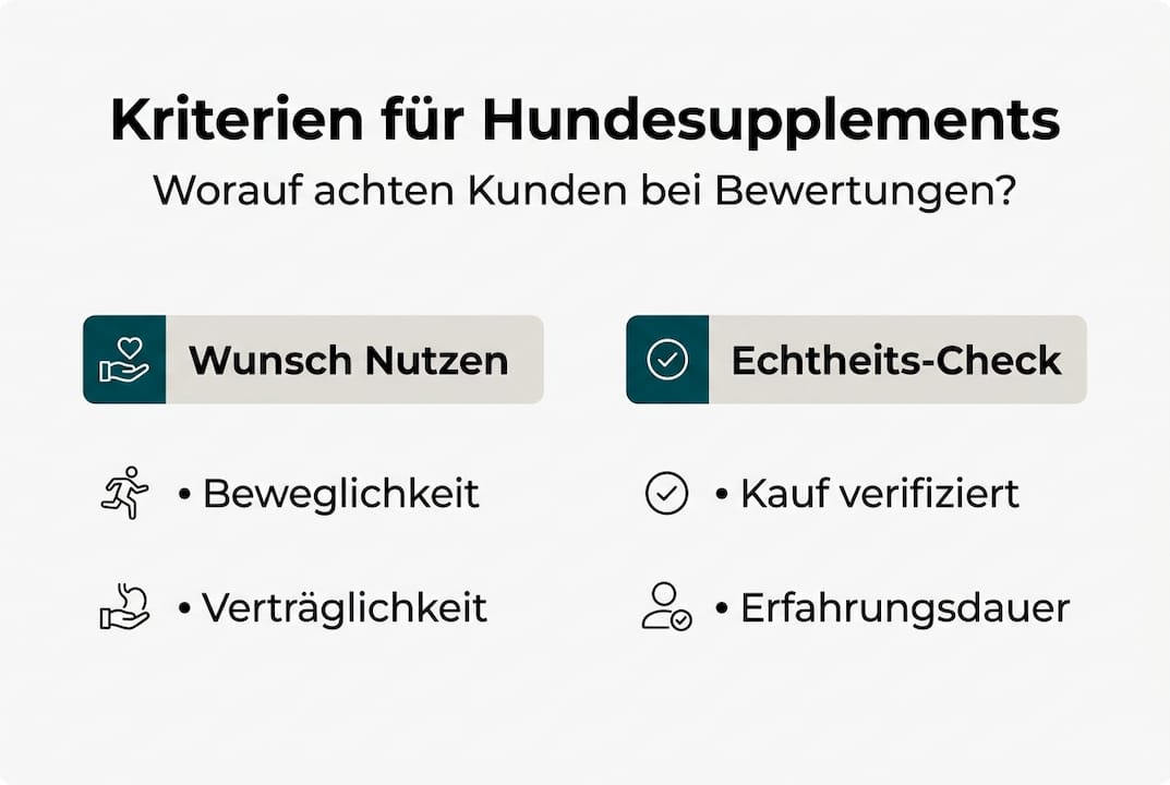 Infografik: Worauf sollte man bei Nahrungsergänzungsmitteln für Hunde achten?