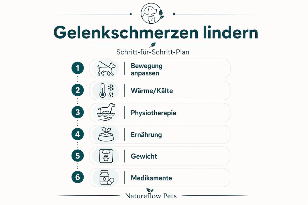Grafik veranschaulicht, wie man Gelenkschmerzen Schritt für Schritt lindern kann