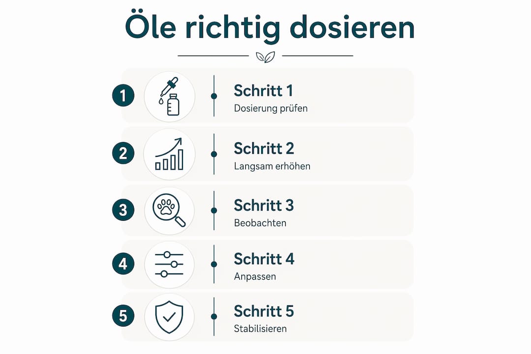 Schritt-für-Schritt-Infografik: So dosierst du Hundeöl richtig