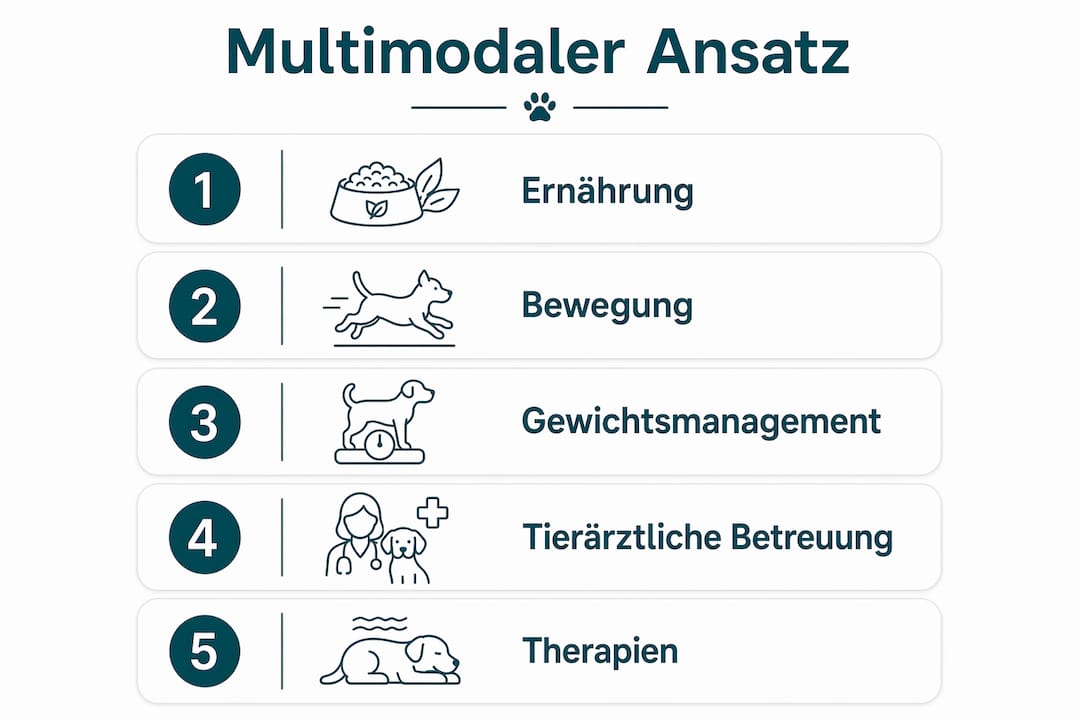 Grafik: Ganzheitliche Strategien für gesunde Hundegelenke