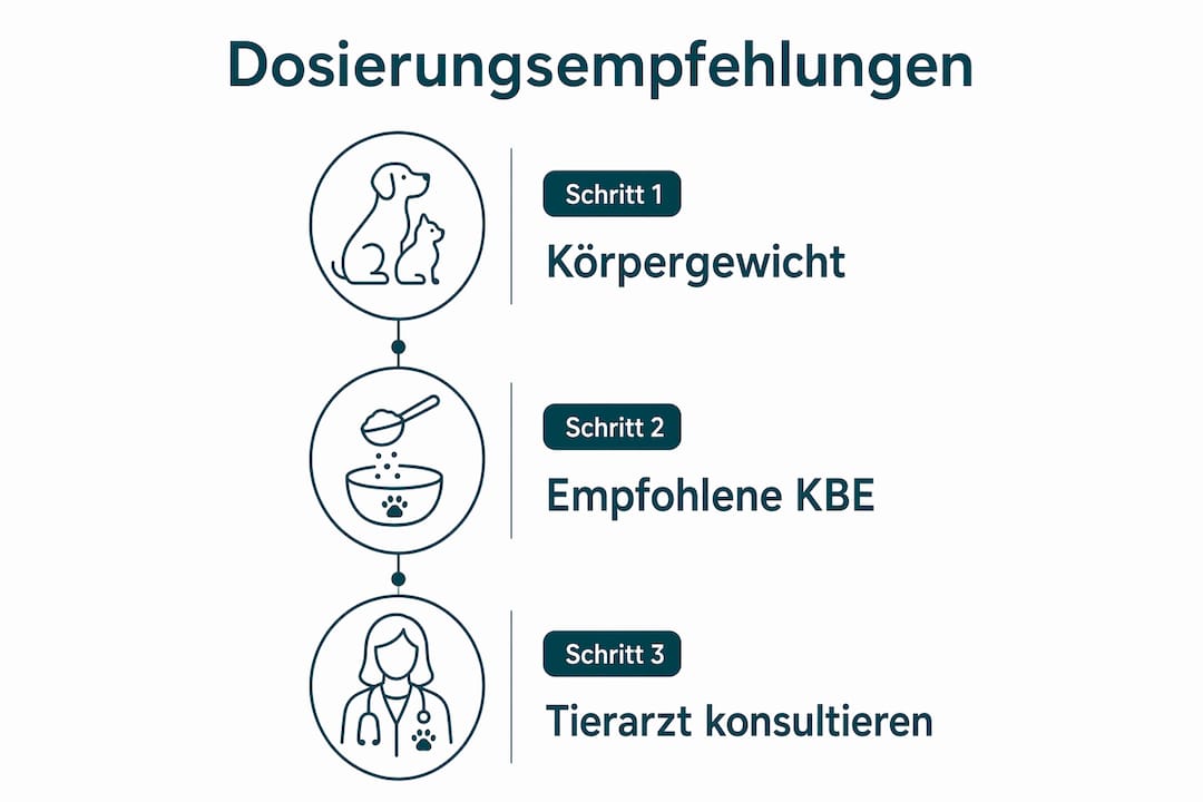 Übersichtsgrafik: So dosierst du Probiotika richtig für deinen Hund