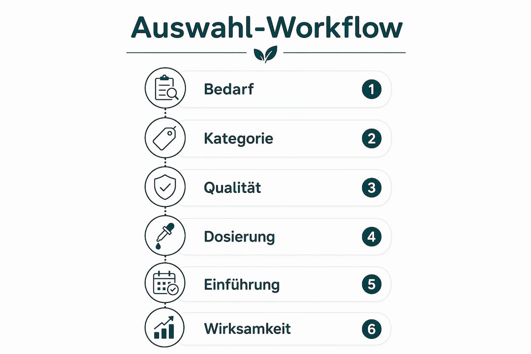 Übersichtliche Infografik: So findest du in wenigen Schritten die passenden Nahrungsergänzungen für deinen Hund