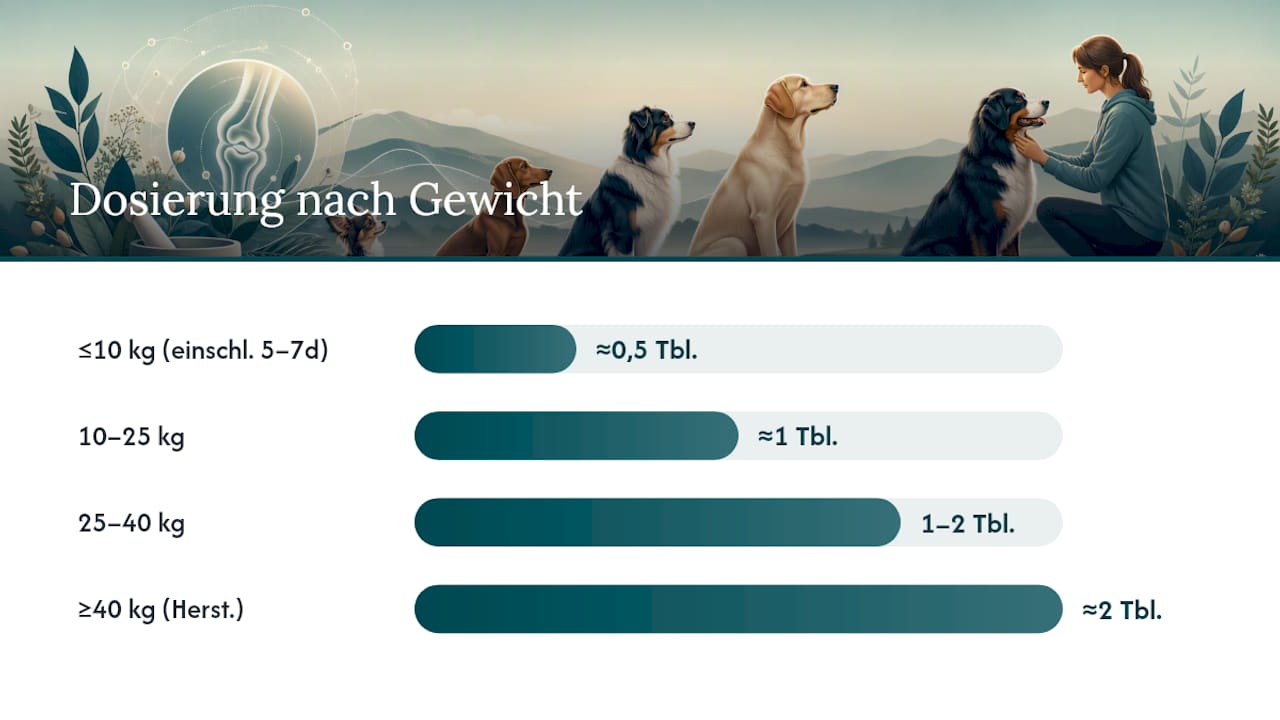 Dosierungsempfehlungen für Gelenktabletten bei Hunden – Übersicht nach Gewichtsklassen
