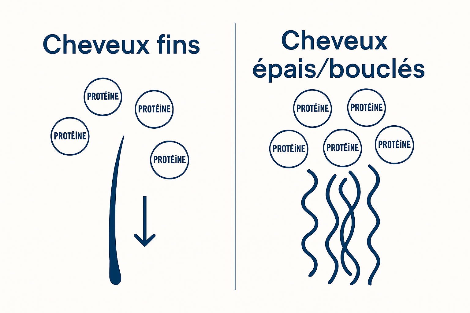 Comparison of protein needs for fine vs thick/curly hair