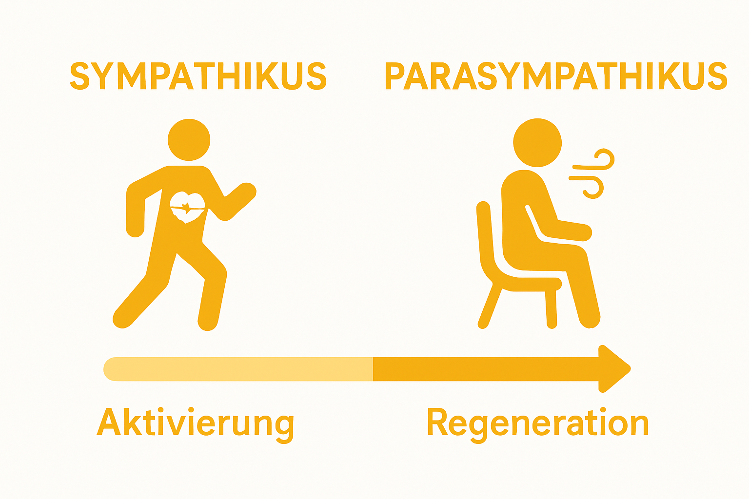 Infographic comparing stress (Sympathikus) and relaxation (Parasympathikus)