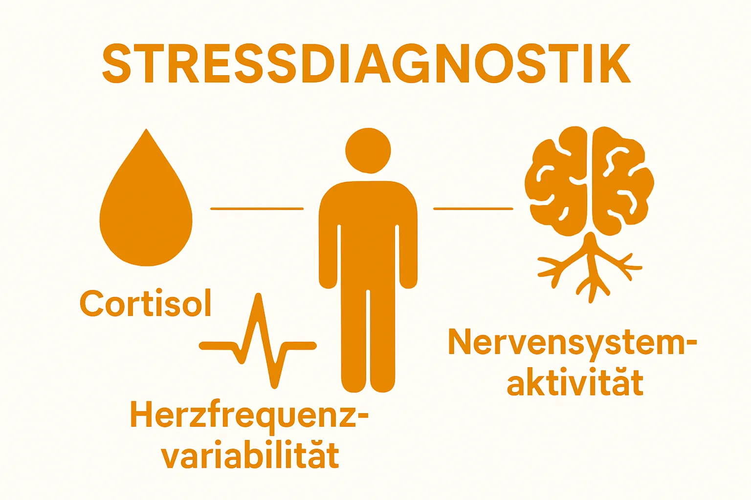Infographic visualisiert drei Parameter der Stressdiagnostik: Cortisol, Herzratenvariabilität, Nervensystem