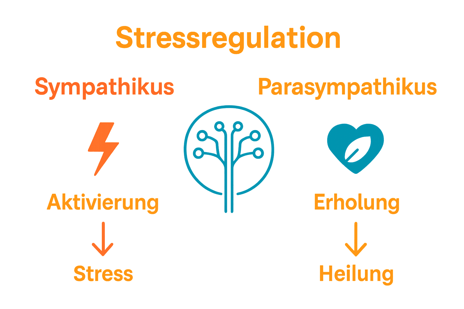 Stress und Heilungsprozess: Alles, was Sie wissen müssen