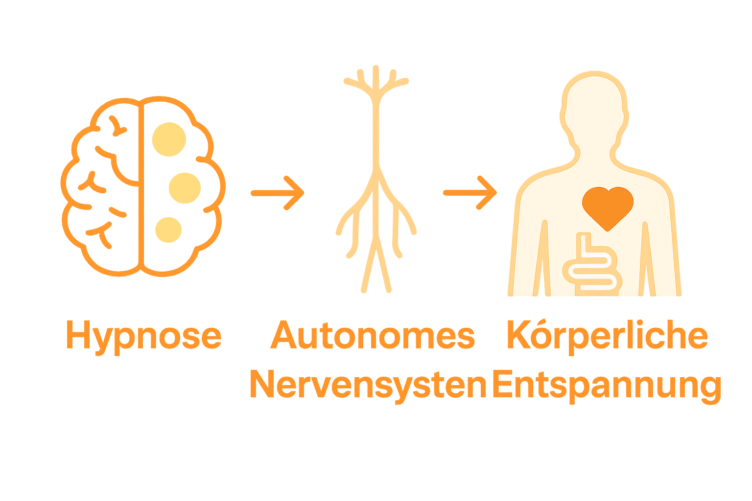 Infografik: Hypnose wirkt über Gehirn und Nervensystem auf die Stressreaktion.