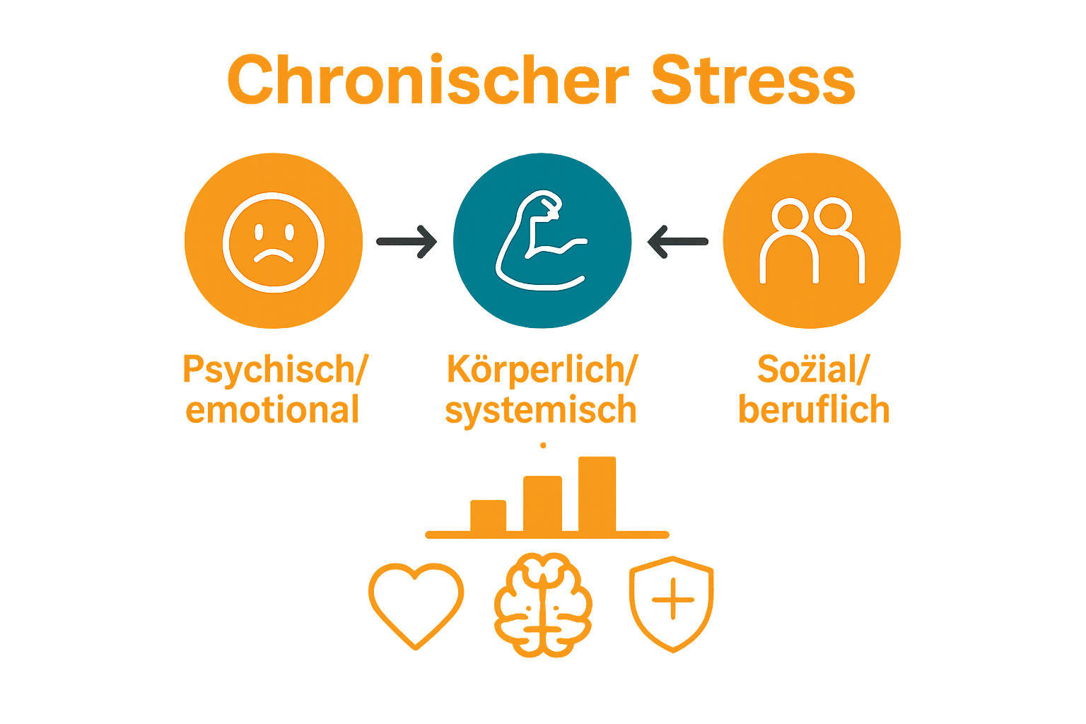 Diagramm Stressarten und Auswirkungen