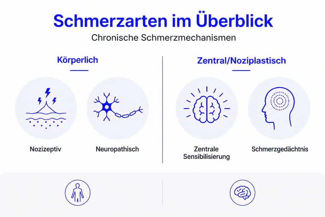 Übersichtsgrafik: Zwei Hauptarten von Schmerzen im Vergleich