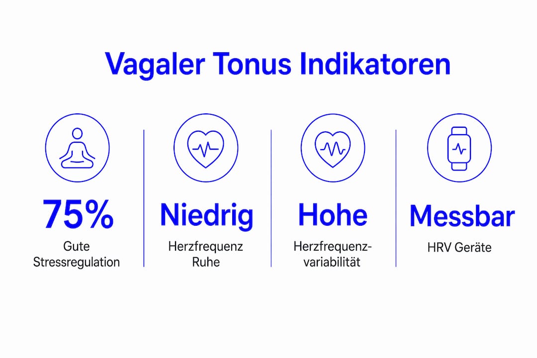 Übersichtsgrafik: Die wichtigsten Kennzahlen zum Vagus-Tonus auf einen Blick