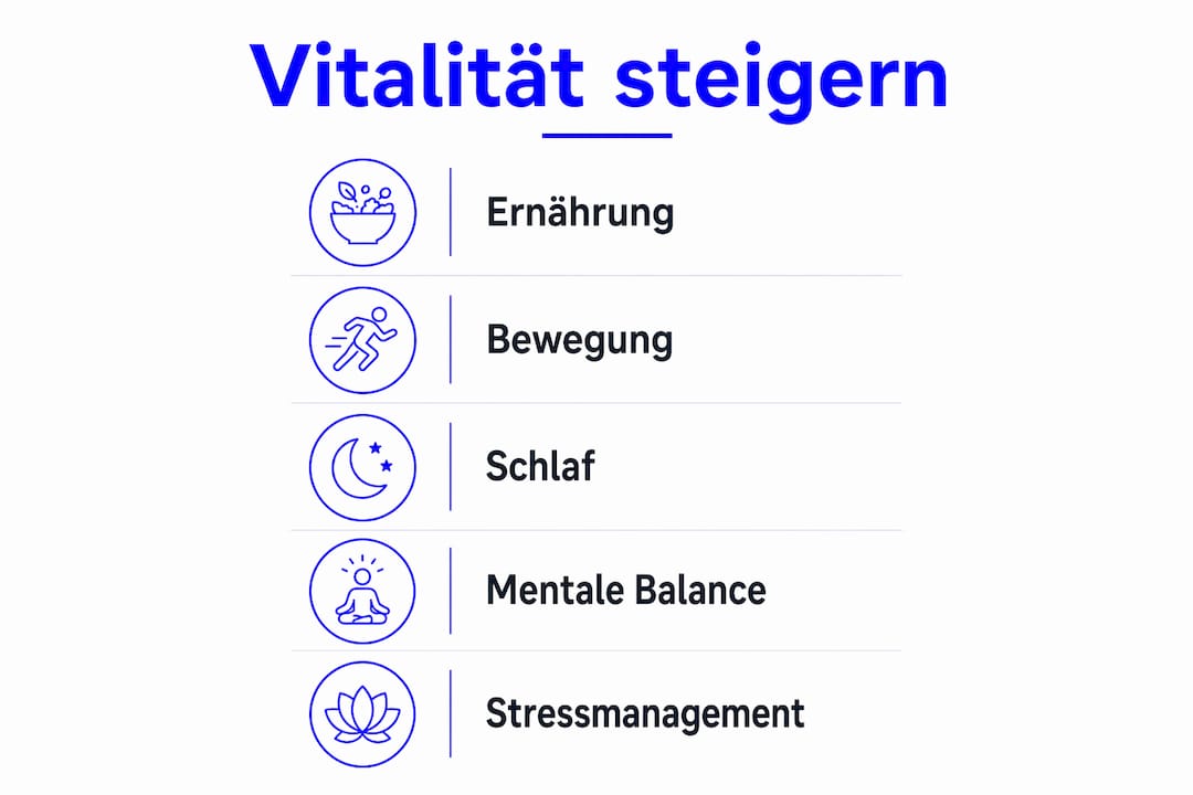 Übersicht: Die entscheidenden Faktoren für mehr Vitalität auf einen Blick