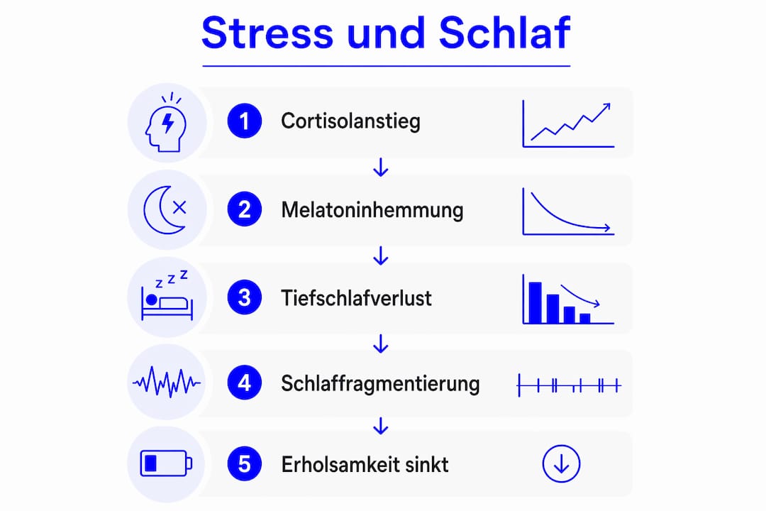 Die Infografik veranschaulicht, wie sich unterschiedliche Stresslevel auf unseren Schlaf auswirken.
