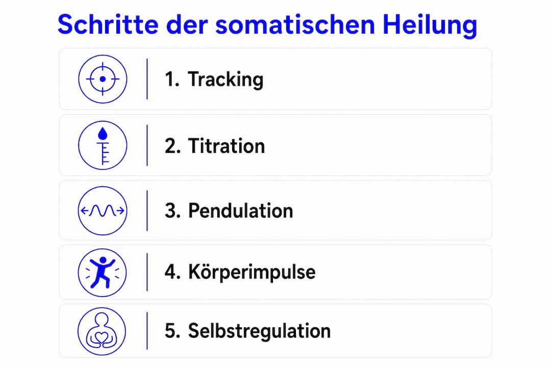 Schritt-für-Schritt-Anleitung als anschauliche Infografik