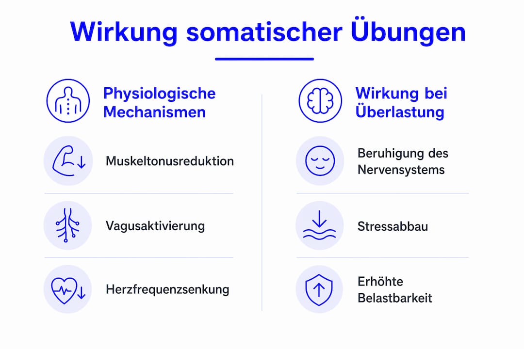 Die Infografik veranschaulicht anschaulich, wie somatische Übungen wirken und welche positiven Effekte sie auf den Körper haben.