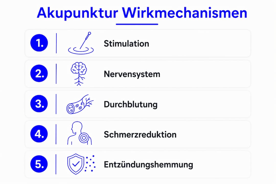 Die Infografik veranschaulicht, wie Akupunktur wirkt – Schritt für Schritt nachvollziehbar dargestellt.