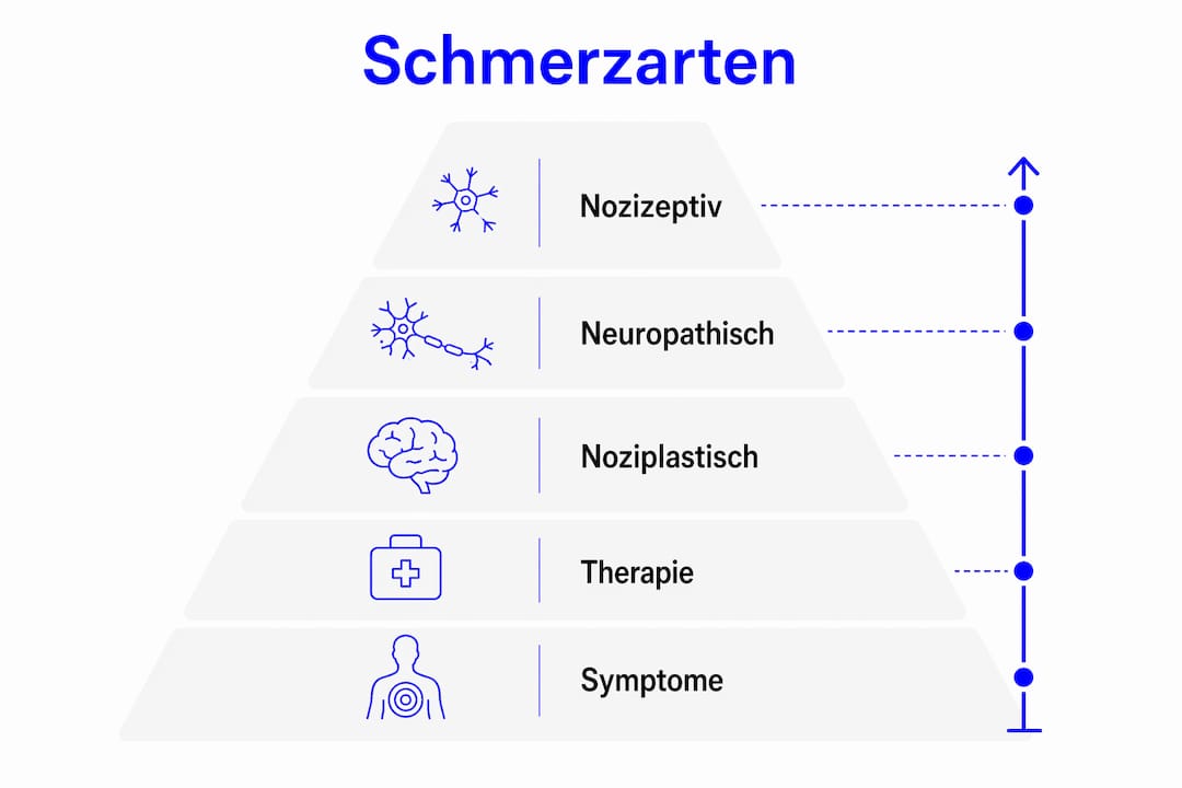 Schmerzarten im Überblick: Infografik mit Therapiemöglichkeiten