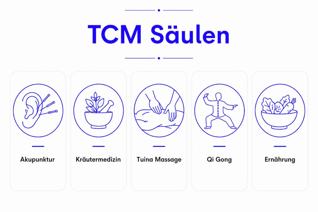 Die fünf Grundpfeiler der Traditionellen Chinesischen Medizin im Überblick – eine anschauliche Infografik