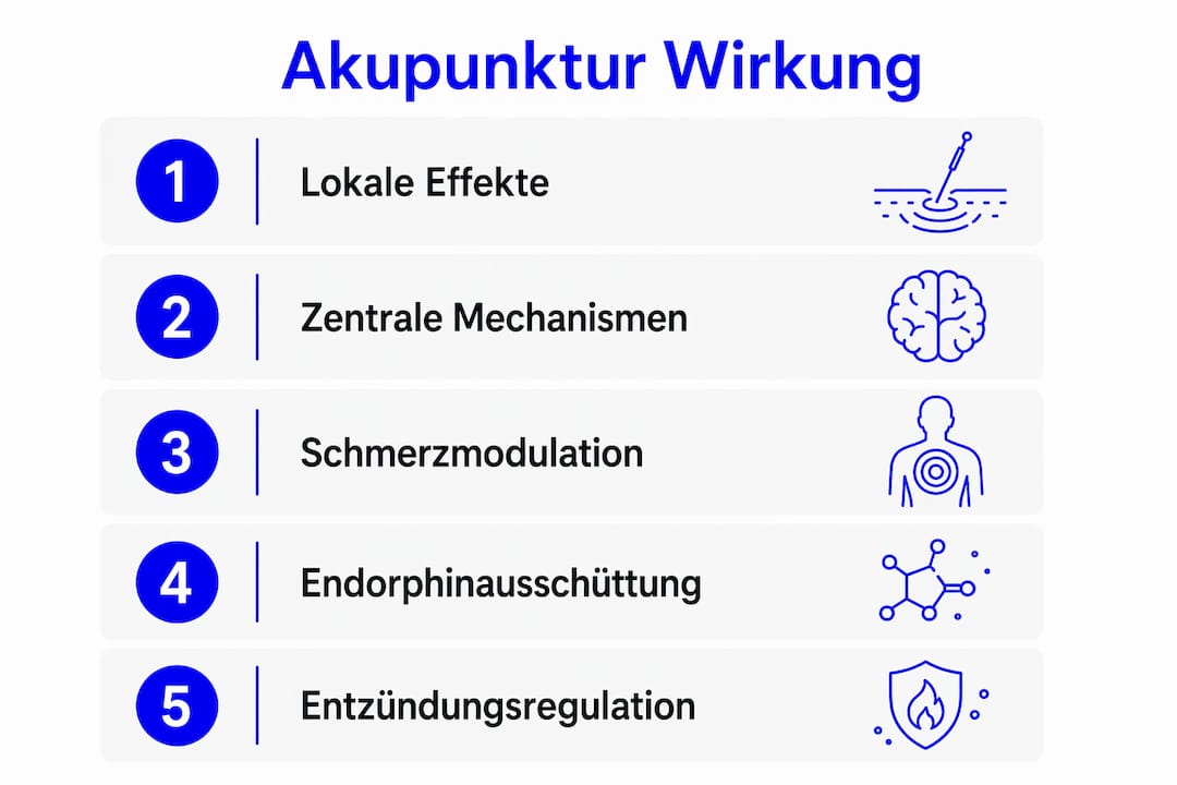 Grafik: Die Wirkungsweise der Akupunktur Schritt für Schritt erklärt