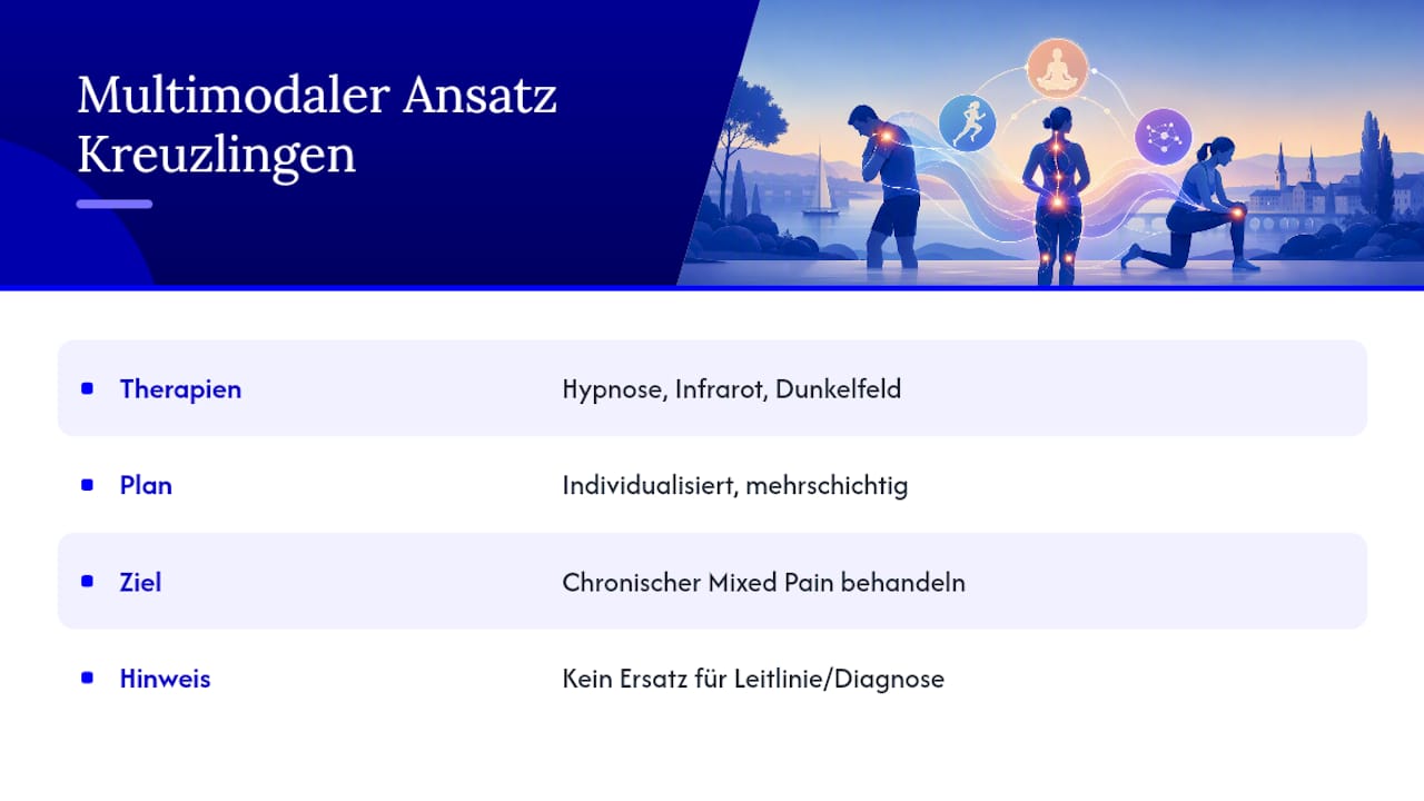 Praxisbeispiel: Ein multimodaler Ansatz bei chronischem Schmerz — overview diagram