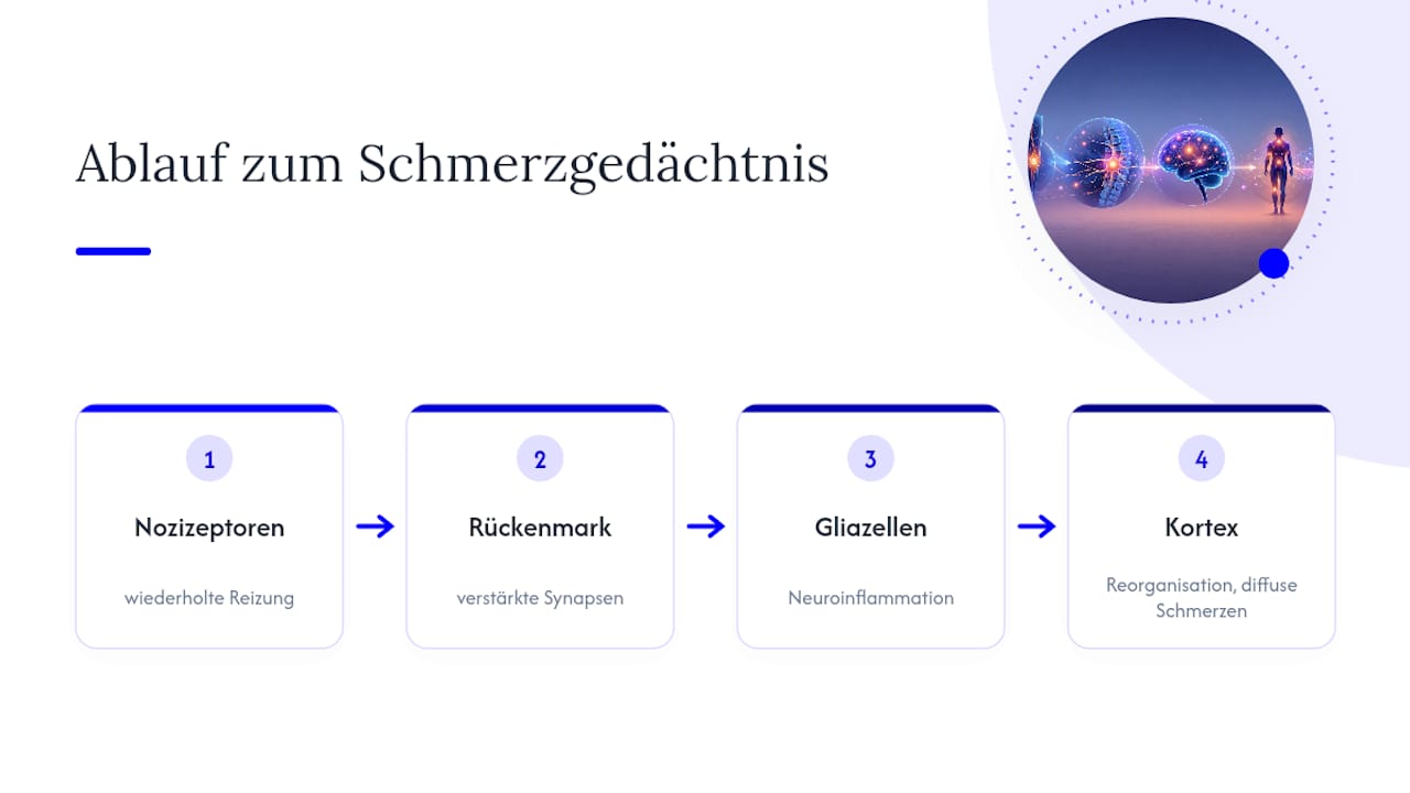 Ablauf der zentralen Sensibilisierung