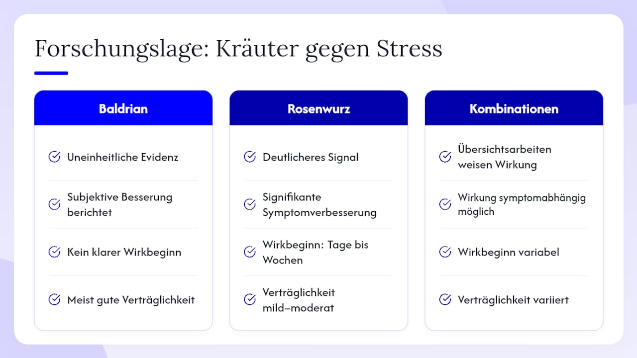 Was die Forschung zur Kräutertherapie bei Stress wirklich zeigt — overview diagram