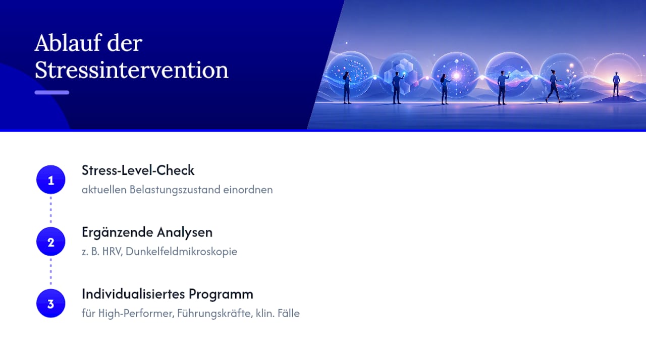 Wie sieht eine individualisierte Stressintervention in der Praxis aus? — overview diagram