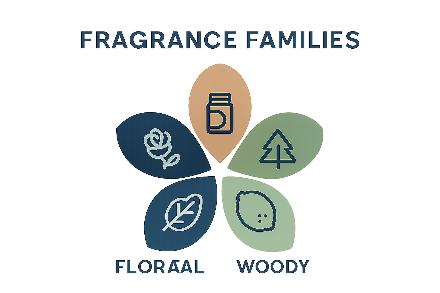 Infographic dividing perfume into four fragrance families with icons