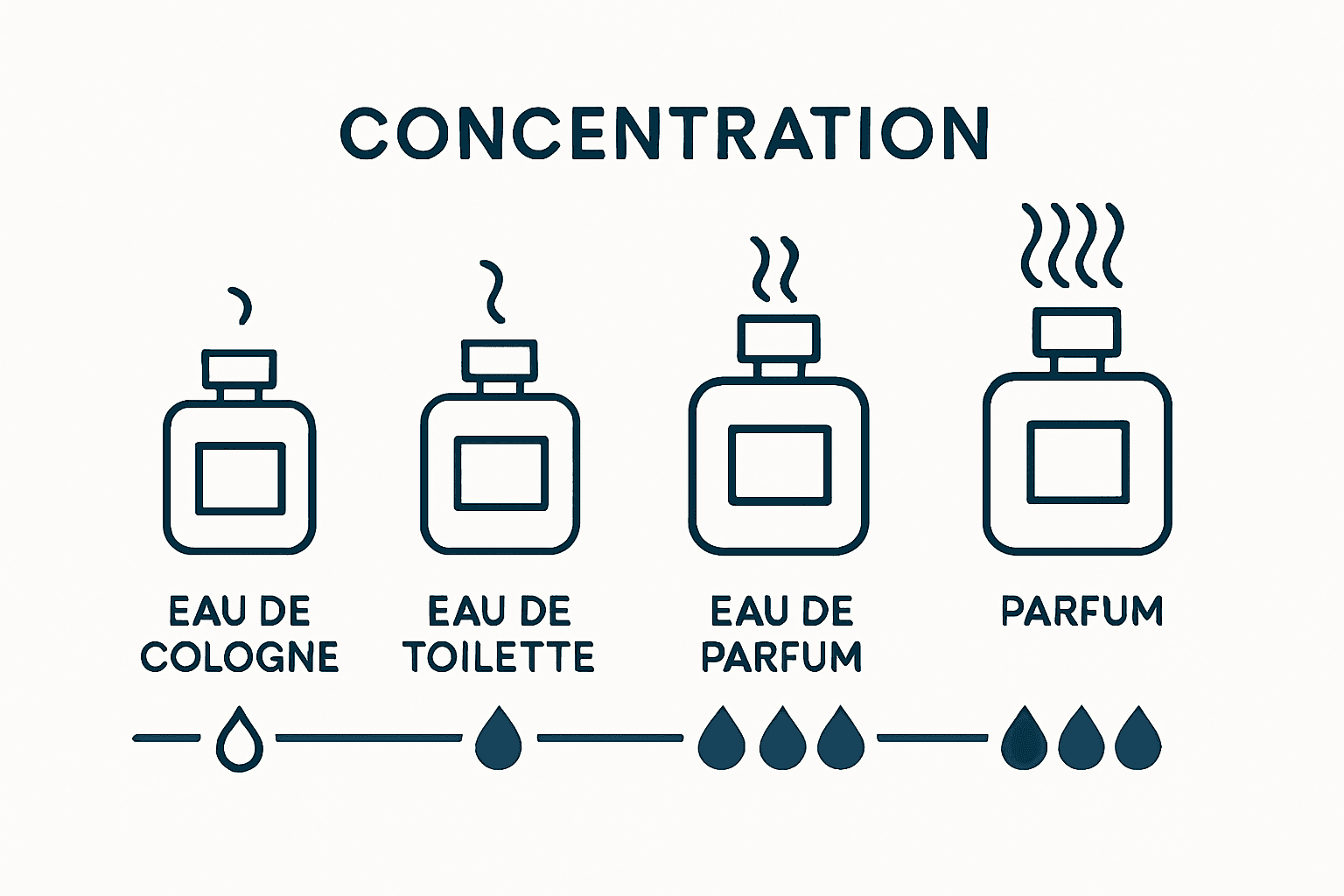 Infographic showing fragrance concentration types and strength comparison