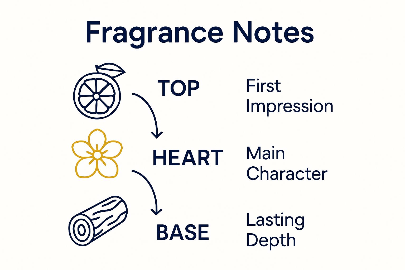 Infographic showing top, heart, and base fragrance notes progression