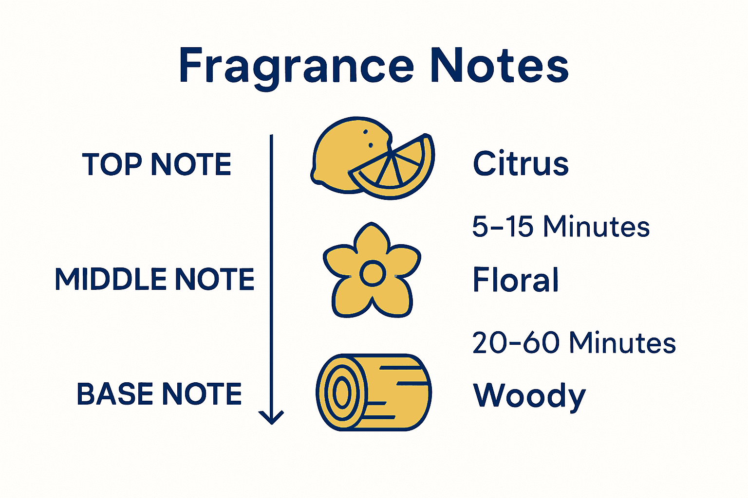 Infographic comparing top, middle, and base fragrance notes using icons and time arrows