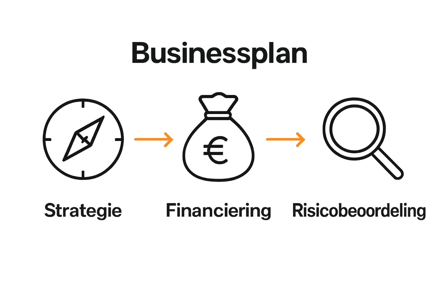 Schema met hoofdrol van strategisch kompas, financiering en risicoanalyse