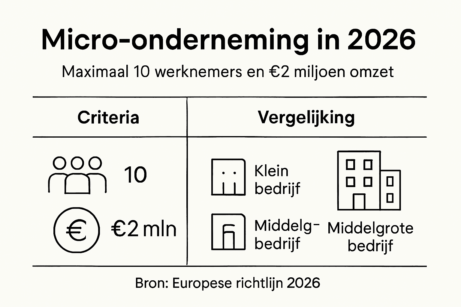 Overzichtelijke infographic met de belangrijkste criteria en een vergelijking van wat een micro-onderneming precies inhoudt.