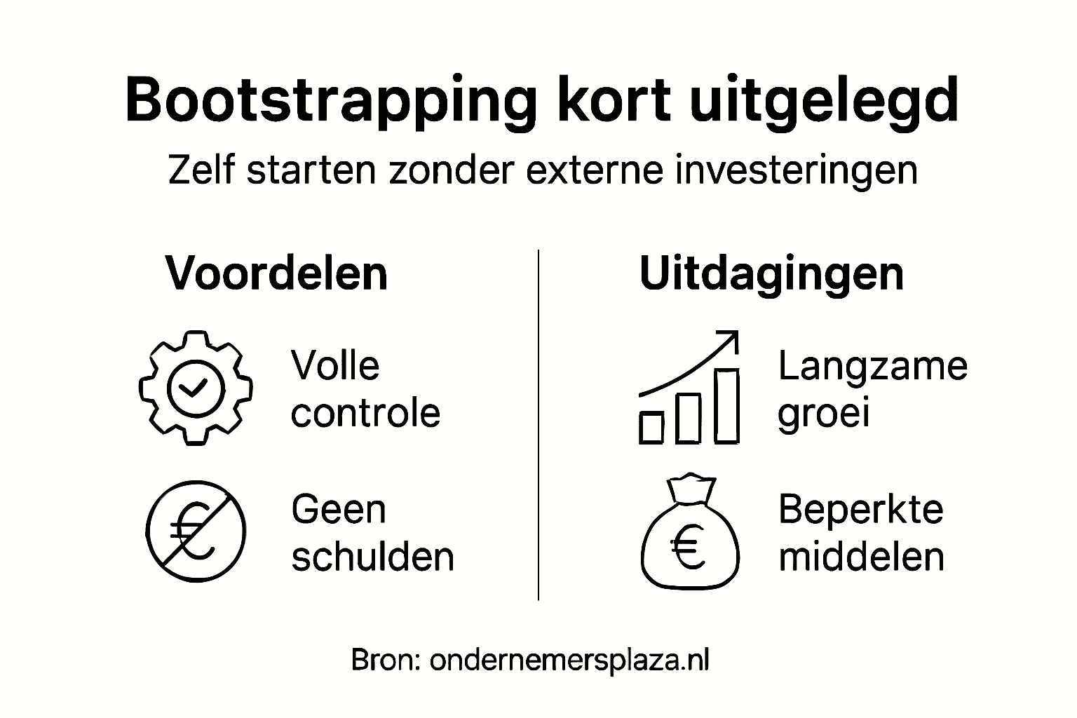 Infographic: de pluspunten en valkuilen van bootstrapping op een rij