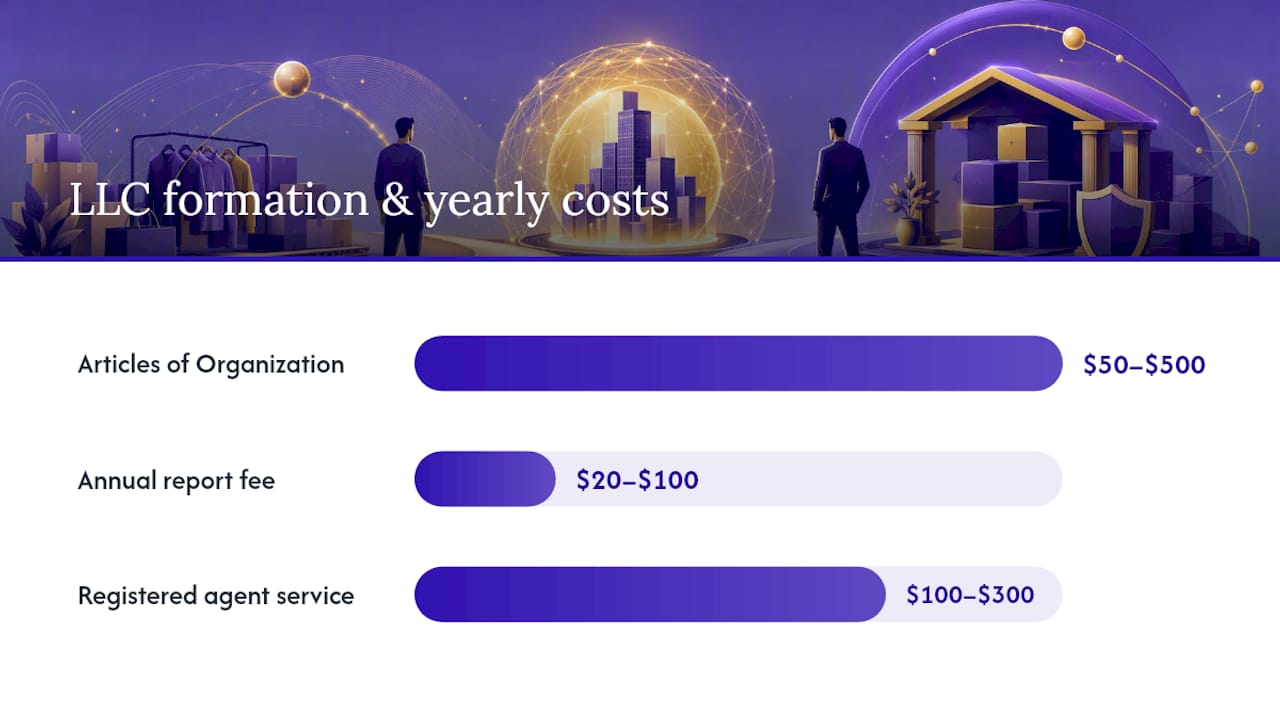 Costs, State Rules, and Administrative Overhead of Forming and Running an LLC — overview diagram