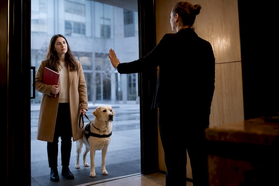 Handler and service dog stopped at entrance