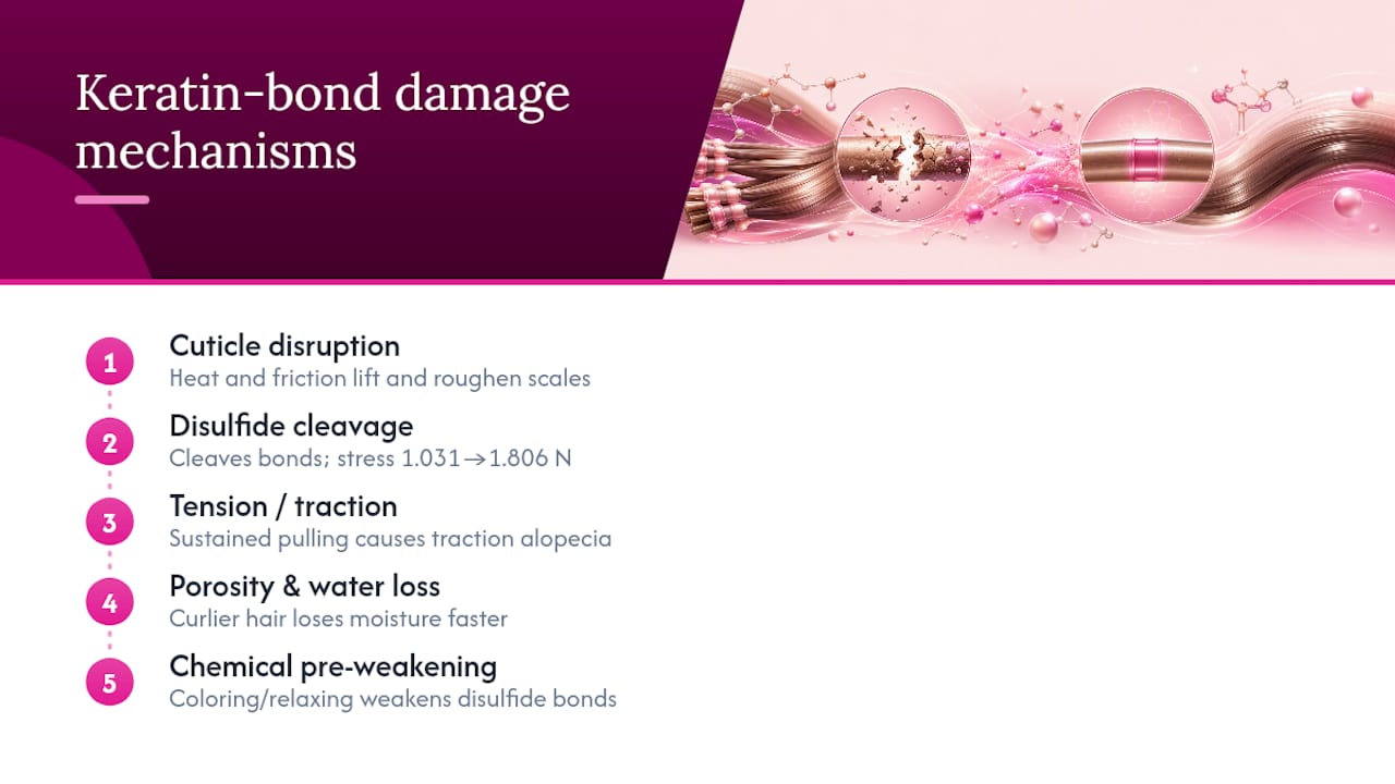 How Keratin Bonds Can Damage Hair: The Real Mechanisms — overview diagram