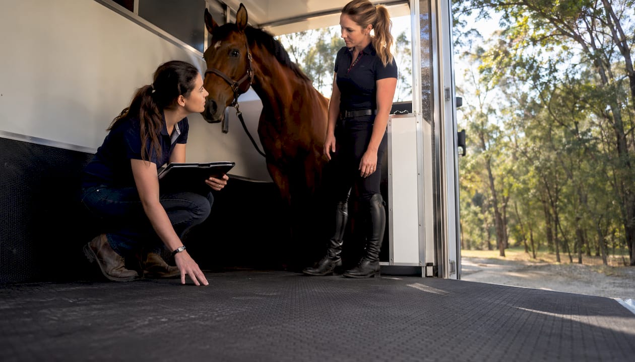 Vet advising horse owner about rubber float flooring