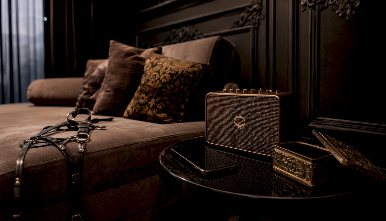 Smart speaker and phone in intimate setting with leather accessory