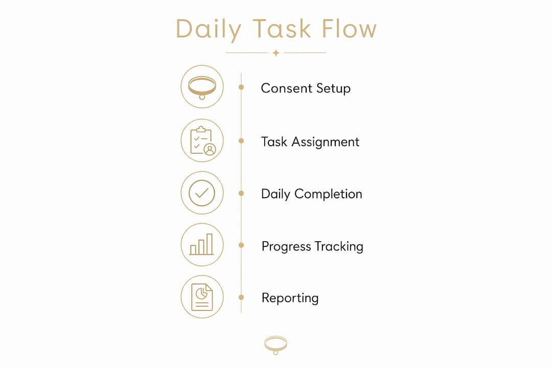 Infographic illustrating daily task flow steps