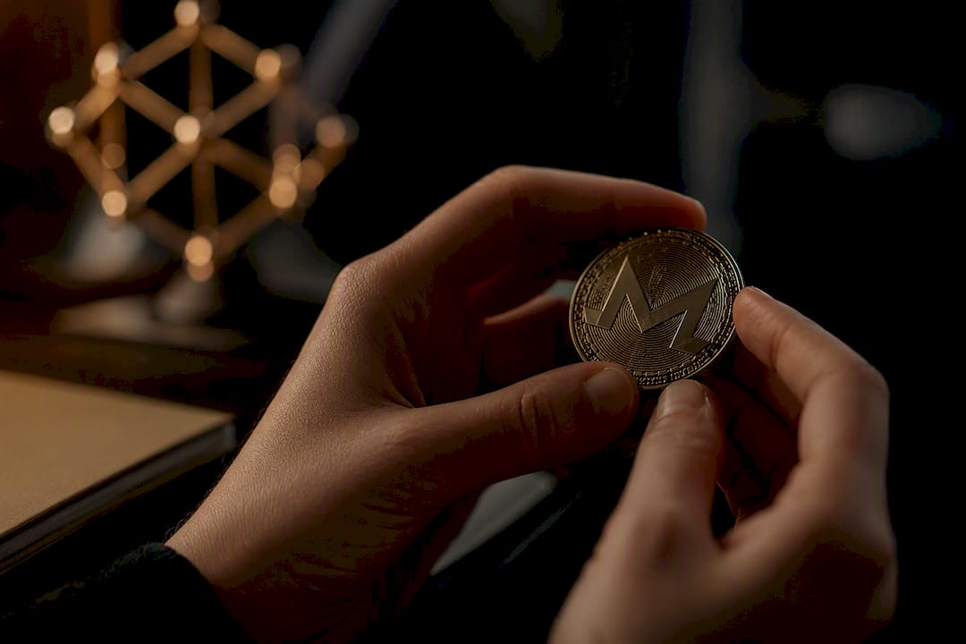 Hands holding privacy coin replica