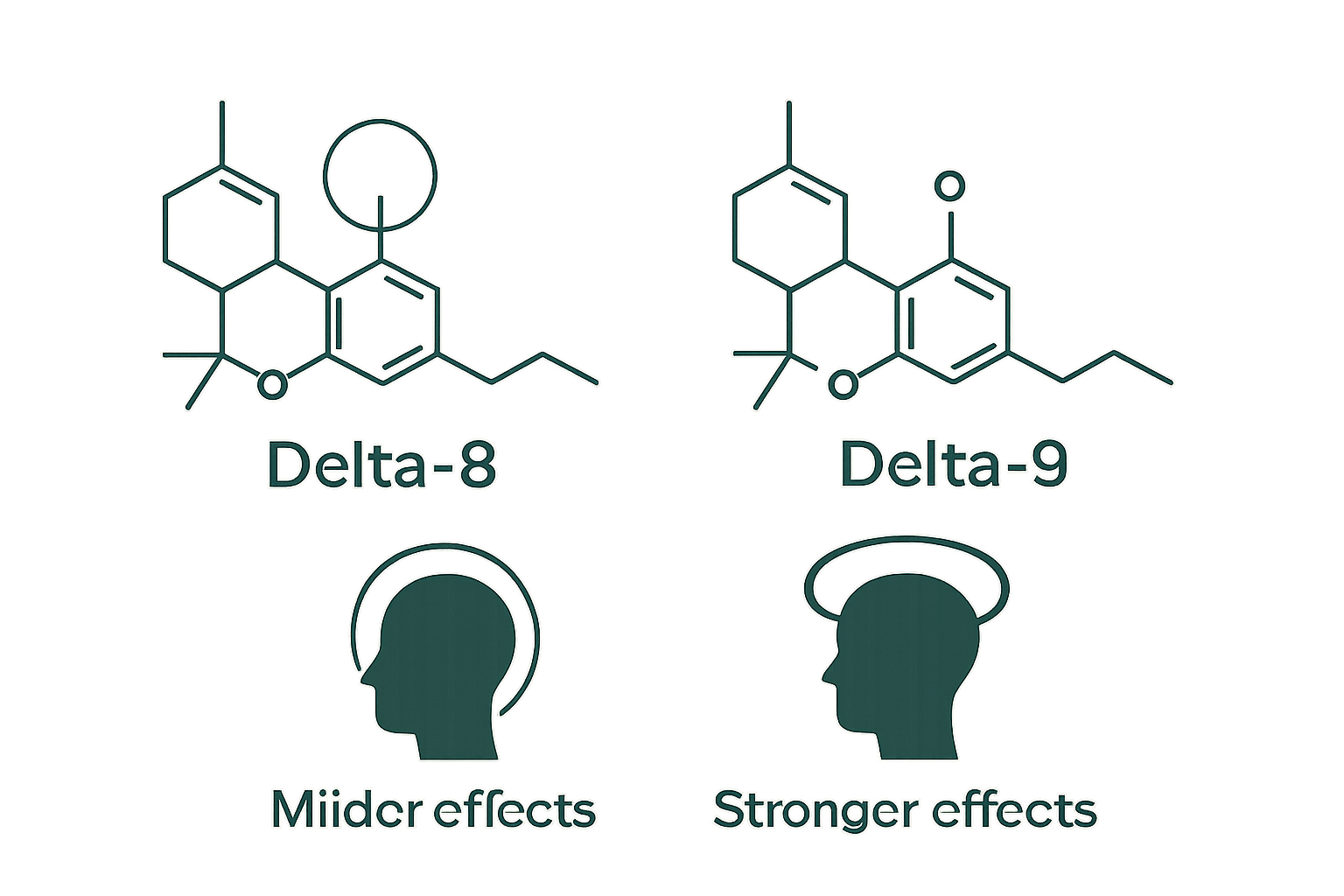 Delta-8 vs Delta-9 basic comparison infographic