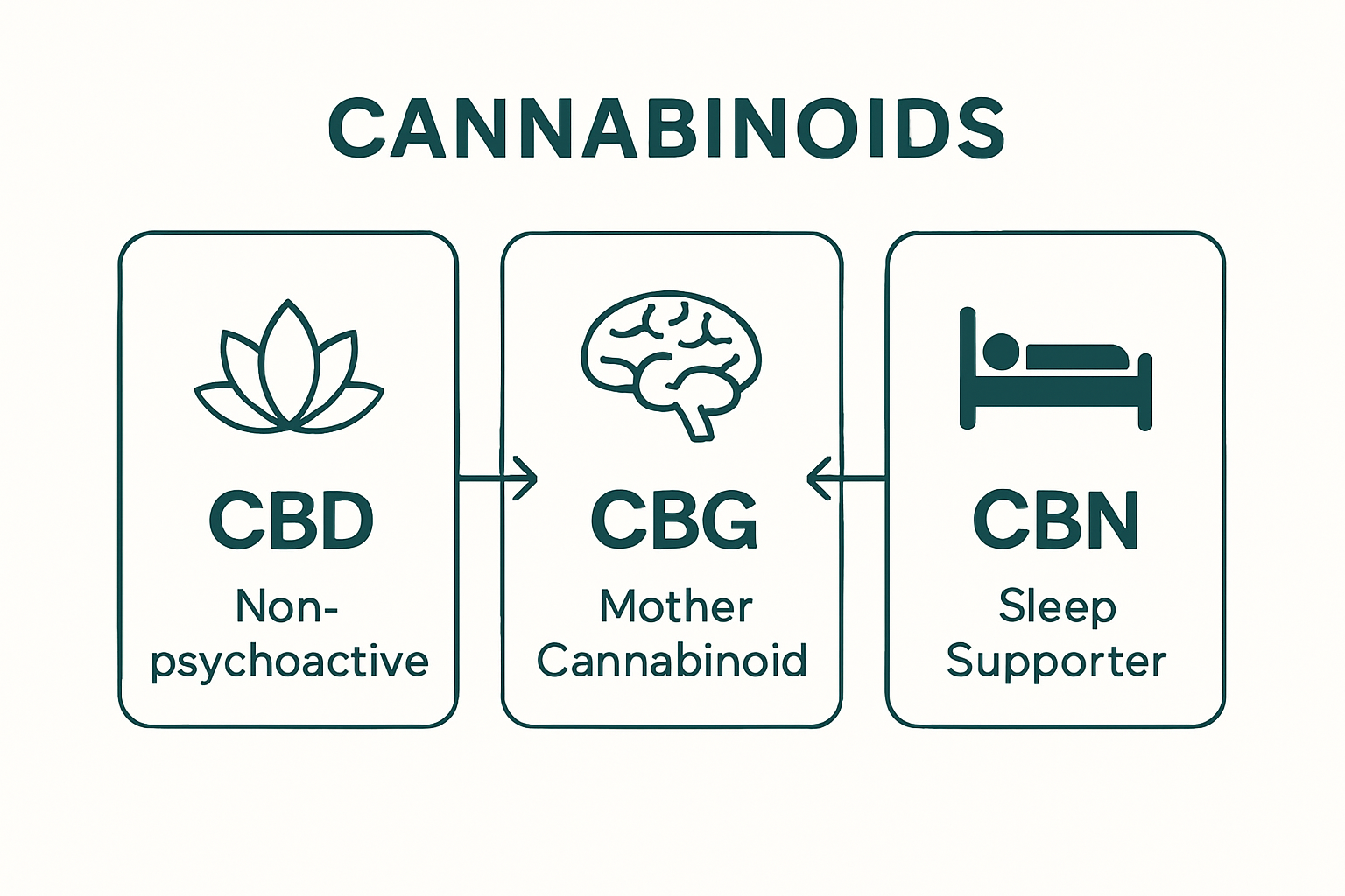 Infographic comparison of CBD, CBG, and CBN benefits