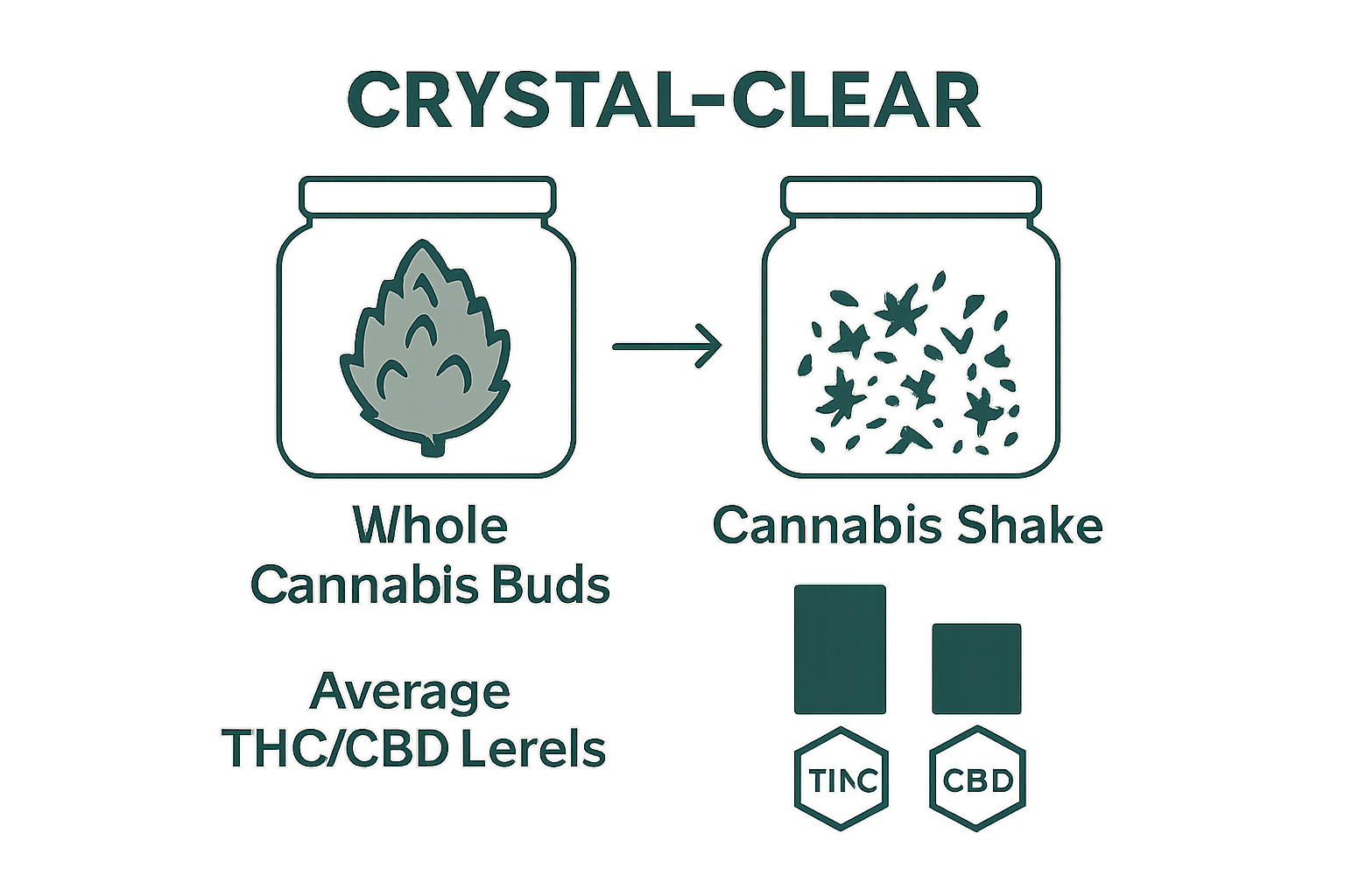 Infographic comparing cannabis buds and shake with THC/CBD levels