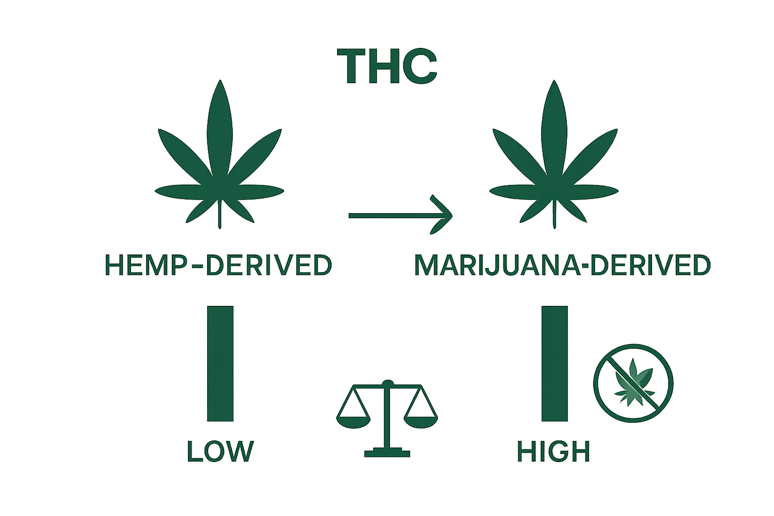 Comparison between hemp-derived THC and marijuana-derived THC showing source, potency, and legal status