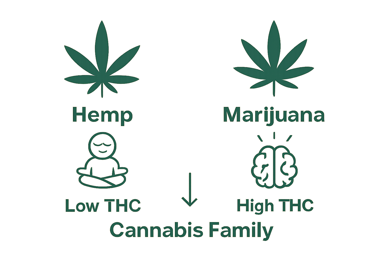 Comparison of hemp and marijuana for relaxation and psychoactivity