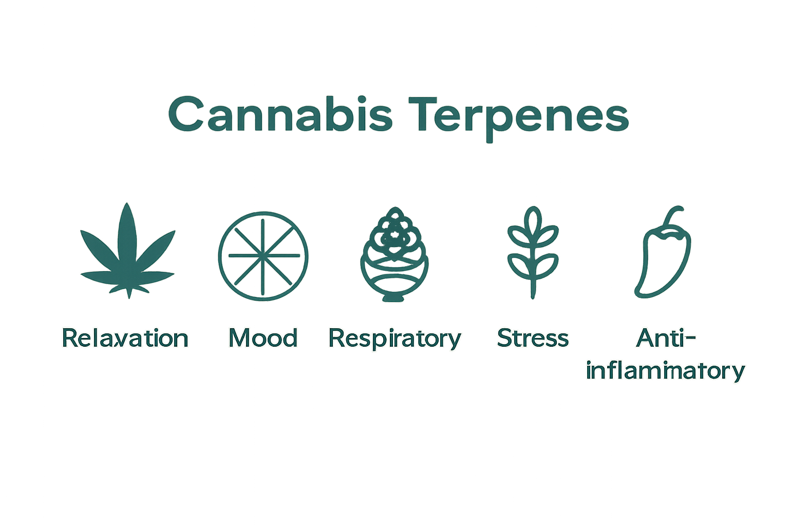 Infographic comparing five cannabis terpenes and their main effects