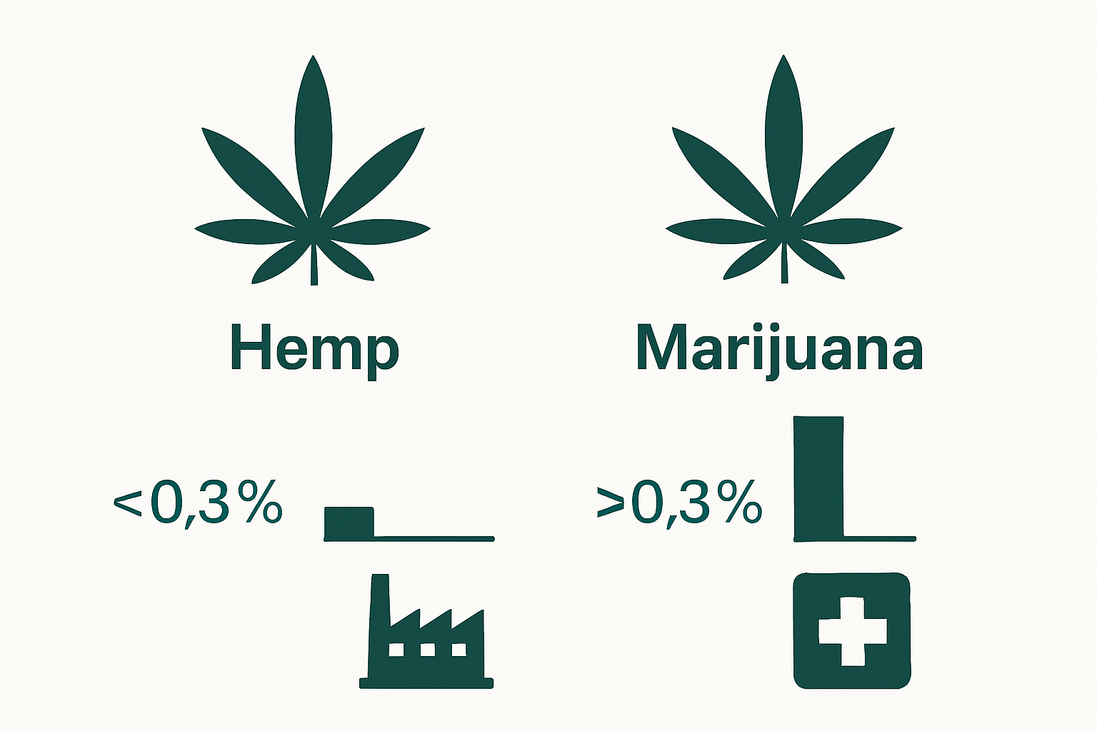 Side-by-side infographic comparing hemp and marijuana THC levels and uses.