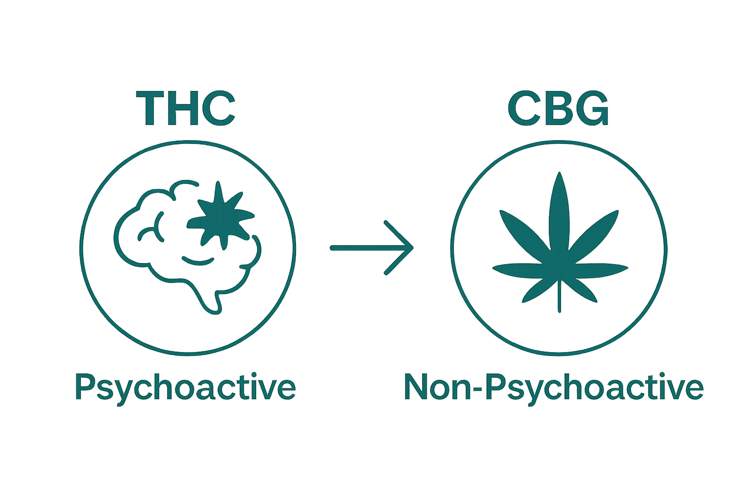 THC vs CBG psychoactive comparison infographic