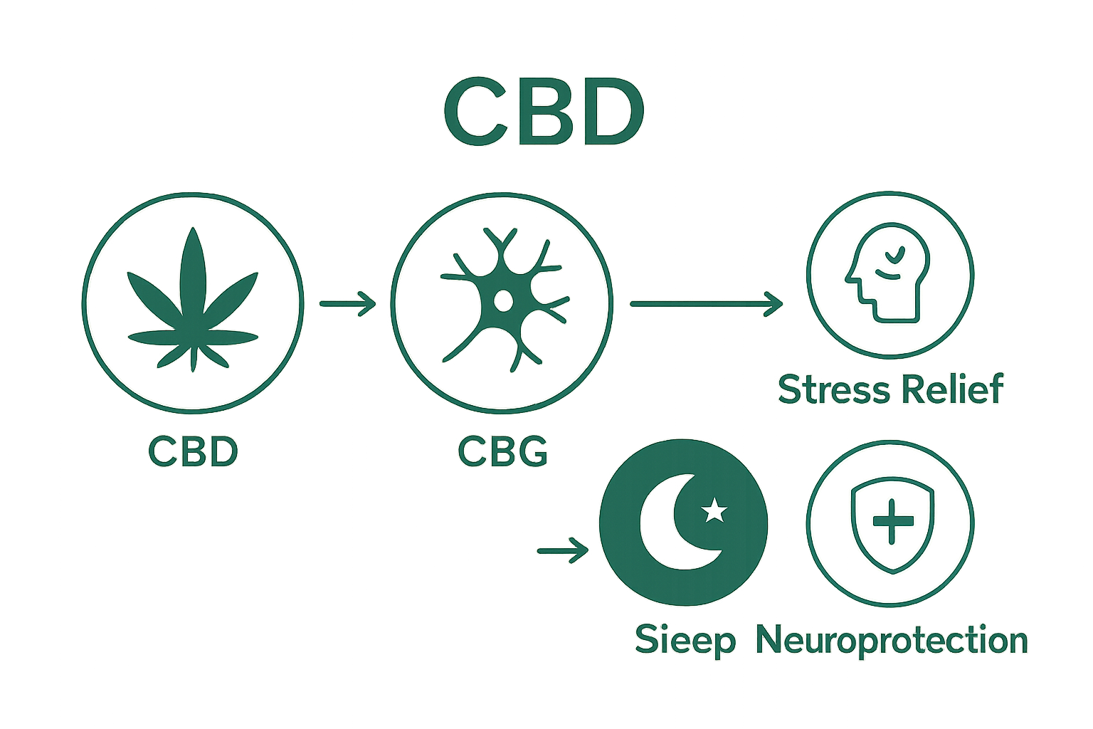 Three trending cannabinoids compared: CBD, CBG, CBN with benefits icons